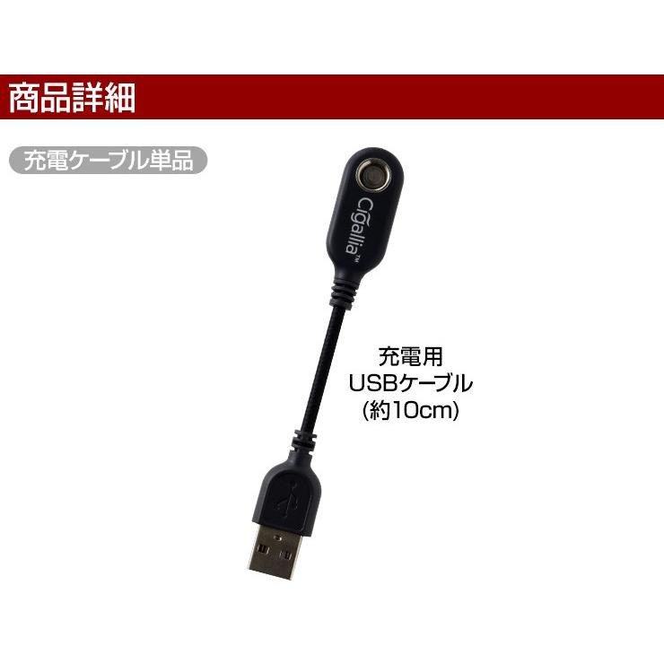 Cigallia プルームテック 充電器 アクセサリー 別売り 純正品対応 代  