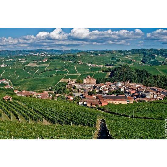 1964 Barolo Riserva， Giacomo Borgogno バローロ リゼルヴァ 1964 ジァーコモ ボルゴーニョ バローロ ジァーコモ ダルバ