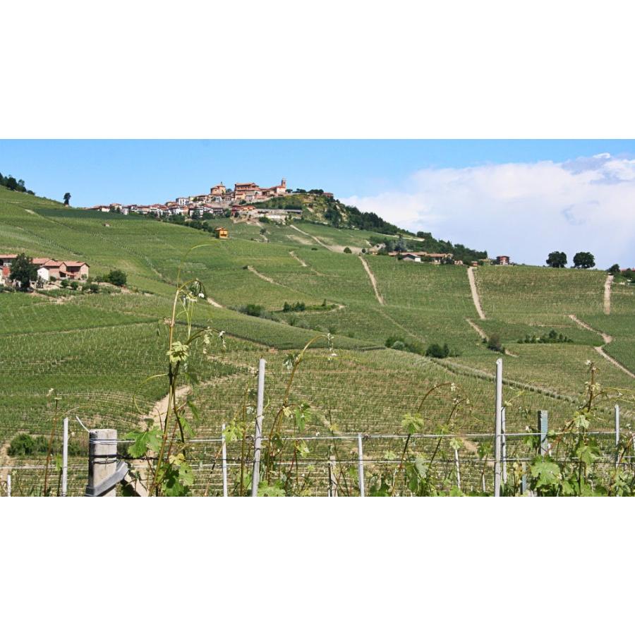 1964 Barolo， Marchesi di Barolo バローロ 1964 マルケージ ディ バローロ　赤ワイン　イタリア バローロ ディ マルケージ ダルバ