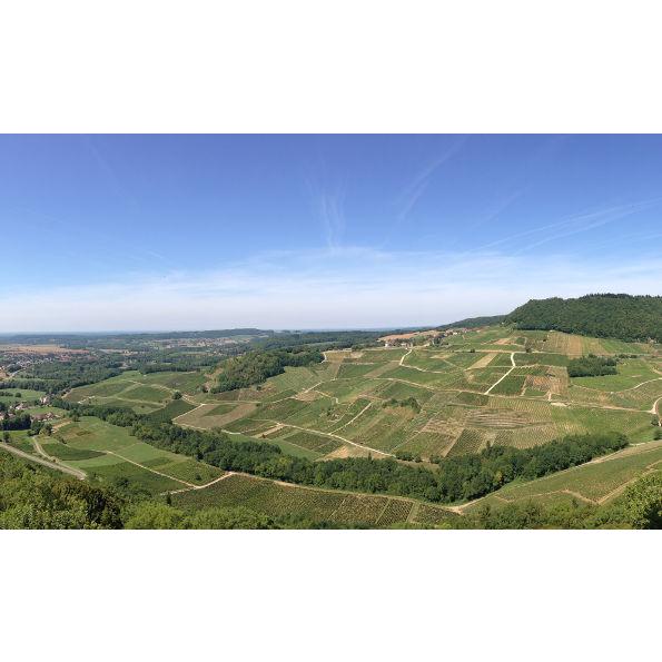 1964 Barolo， Marchesi di Barolo バローロ 1964 マルケージ ディ バローロ　赤ワイン　イタリア バローロ ディ マルケージ ダルバ