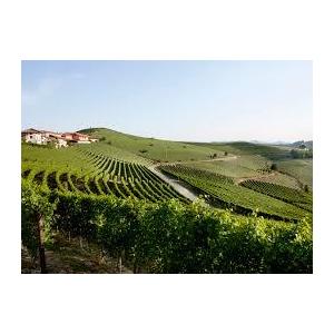 1949 Barbaresco Riserva Supeciale， Enricoo Serafino バルバレスコ リゼルヴァ スペチャーレ 1949 エンリコ セラフィーノ