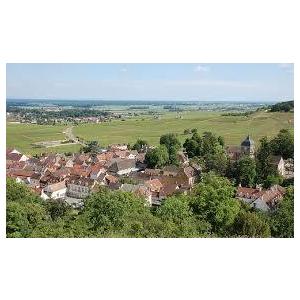 1985 Chambolle Musigny， Robert Doucet シャンボール ミュジニ 1985 ロベール ドゥーセ マレノン　ヴェルサン　ノール　赤　2018年　750ml/12本 MARRENON　VERSANT NORD.254e SK1287547240(12210円)