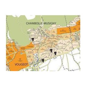 1985 Chambolle Musigny， Robert Doucet シャンボール ミュジニ 1985 ロベール ドゥーセ マレノン　ヴェルサン　ノール　赤　2018年　750ml/12本 MARRENON　VERSANT NORD.254e SK1287547240(12210円)