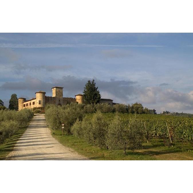 1995 Chianti Classico, Villa Cerna キャンティ クラッシコ ヴィッラ