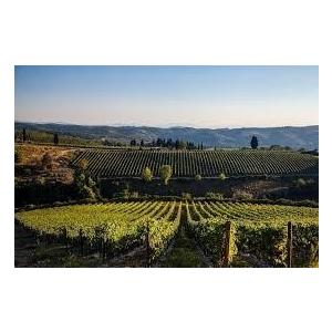 1957 Chianti Villa Antinori， Piero Antinori キャンティ ヴィッラ アンティノリ 1957 ピエロ アンティノリ