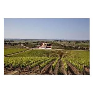 1957 Chianti Villa Antinori， Piero Antinori キャンティ ヴィッラ アンティノリ 1957 ピエロ アンティノリ