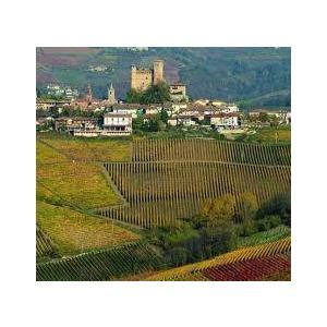 1955 Gattinara， Cantina Sociale Cooperativa ガッティナーラ 1955 カンティーナ ソチャーレ コオペラティーヴァ Gattinara， コオペラティーヴァ Cooperativa Cantina Sociale ガッティナーラ 1955 1955 ソチャーレ カンティーナ R1296825038(12298円)