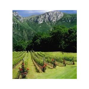 1962 Gattinara， Mario Antoniolo ガッティナーラ 1962 マリオ アントニオーロ　赤ワイン　イタリア ガッティナーラ