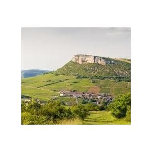 1959 プレゼントやギフトに最適！Macon Rouge， Jaboulet-Vercherre マコン ルージュ 1959 ジャブレ ヴェルシェール マコン 香りは赤や黒のベリー 森の下草 等の香りを伴っています