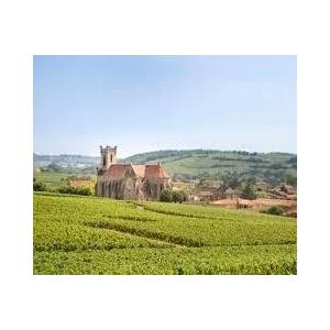 1959 プレゼントやギフトに最適！Macon Rouge， Jaboulet-Vercherre マコン ルージュ 1959 ジャブレ ヴェルシェール マコン 香りは赤や黒のベリー 森の下草 等の香りを伴っています