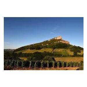 1959 プレゼントやギフトに最適！Macon Rouge， Jaboulet-Vercherre マコン ルージュ 1959 ジャブレ ヴェルシェール マコン 香りは赤や黒のベリー 森の下草 等の香りを伴っています