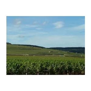 1978 Chateau de Pommard, Jean Louis Laplanche シャトー ド ポマール