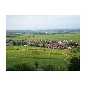 1978 Chateau de Pommard, Jean Louis Laplanche シャトー ド ポマール