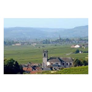 1978 Chateau de Pommard, Jean Louis Laplanche シャトー ド ポマール