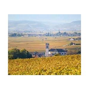 ワイン POMMARD 1978 1978 Chateau de Pommard, Jean Louis Laplanche シャトー ド ポマール