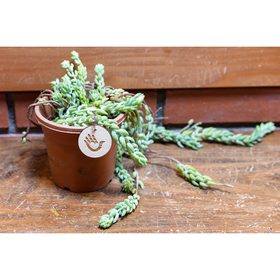 キーホルダー 木製 名入れ 名前 オーダーメイド 記念日 記念品 誕生日 父の日 母の日 ペア 手話 鍵 席札 ヒノキ 無垢材 シンプル おしゃれ 手作り |  | 02