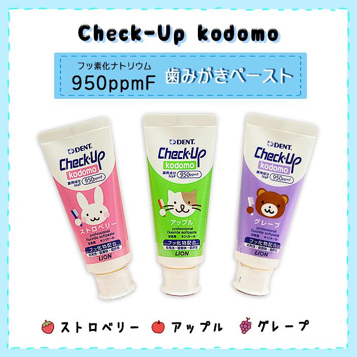 歯みがき粉 LION（ライオン） 歯みがき粉 10%OFFクーポン対象 12/13 00:00-12/16