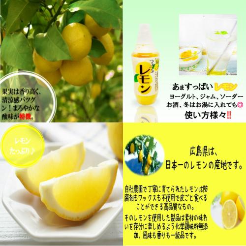 つぶつぶゆず つぶつぶレモン つぶつぶネーブル 内容量 480g 