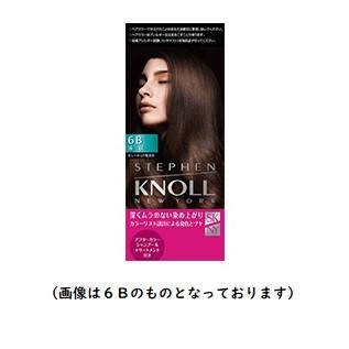 スティーブンノル カラークチュール 液状ヘアカラー ６ｂｅ ベージュブラウン コスメ アべニュー 通販 Yahoo ショッピング