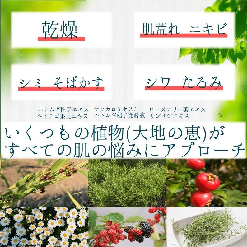 オールインワン　デフィエ　スキンセラム　180ml　送料無料 |  | 03