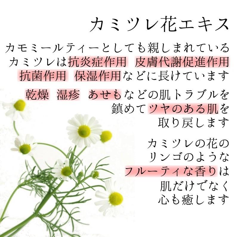 オールインワン　デフィエ　スキンセラム　180ml　送料無料 |  | 05