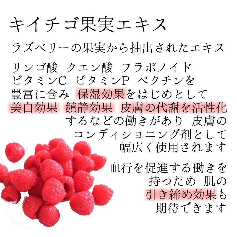 オールインワン　デフィエ　スキンセラム　180ml　送料無料 |  | 06