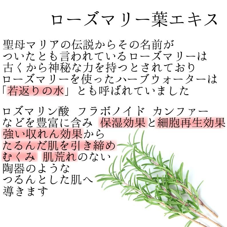 オールインワン　デフィエ　スキンセラム　180ml　送料無料 |  | 07
