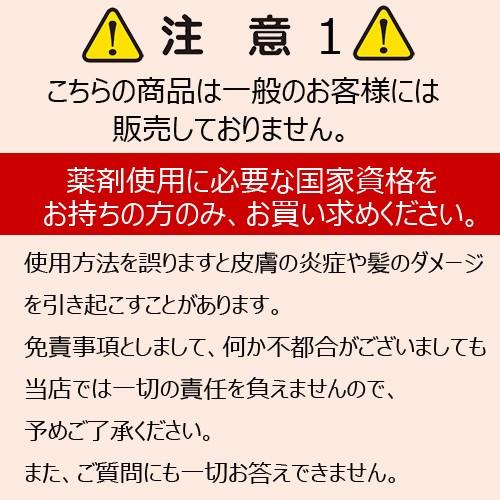 カラー剤 業務用 フィヨーレ BLカラー 第1剤 120g (医薬部外品 カラー剤 業務用 フィヨーレ BLカラー 第1剤 120g (医薬部外品