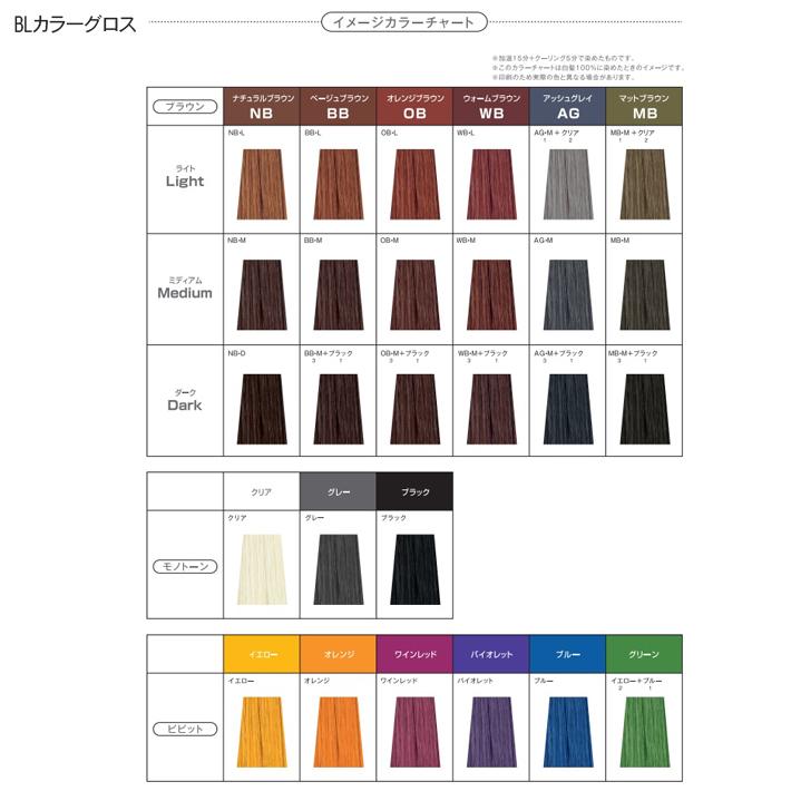 カラー剤 業務用 フィヨーレ BLカラーグロス 900g レフィル カラー剤 業務用 フィヨーレ BLカラーグロス 900g レフィル