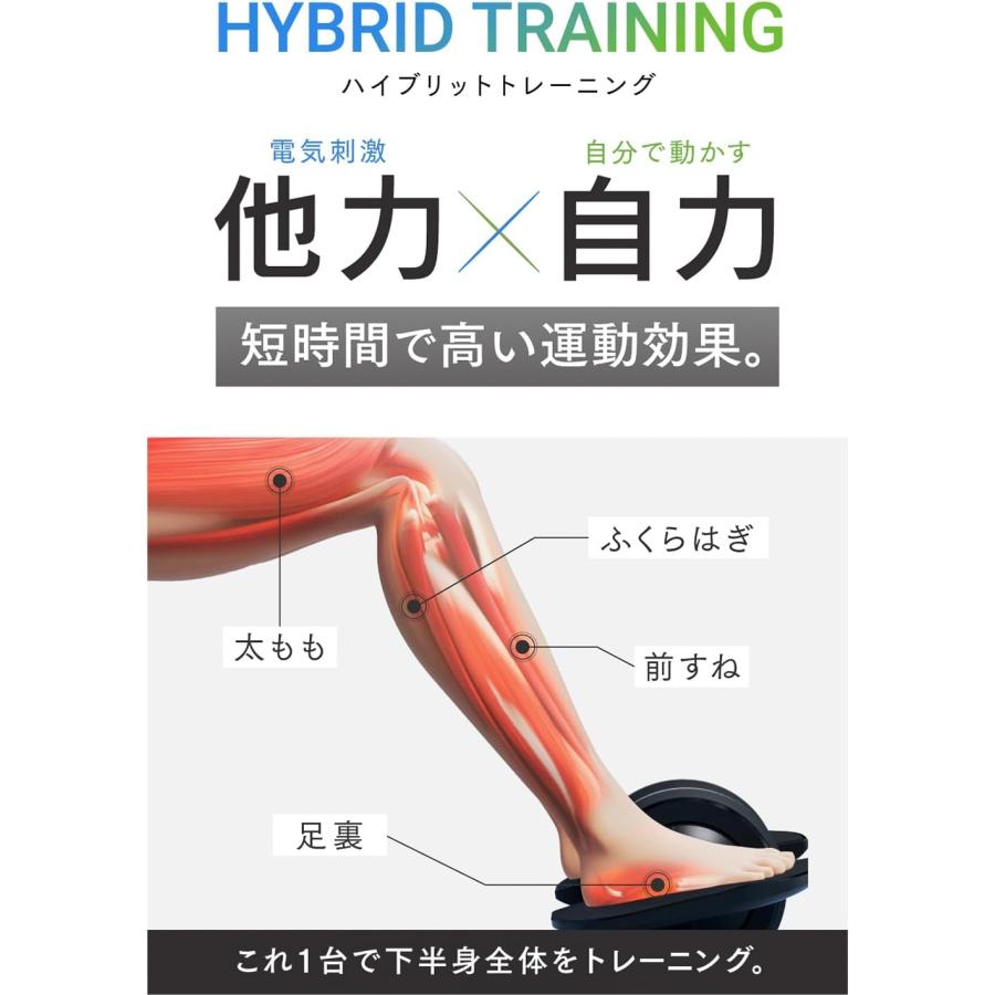 マイトレックス ELEXA FOOT ハイブリッドトレーニング 下半身 足 太も