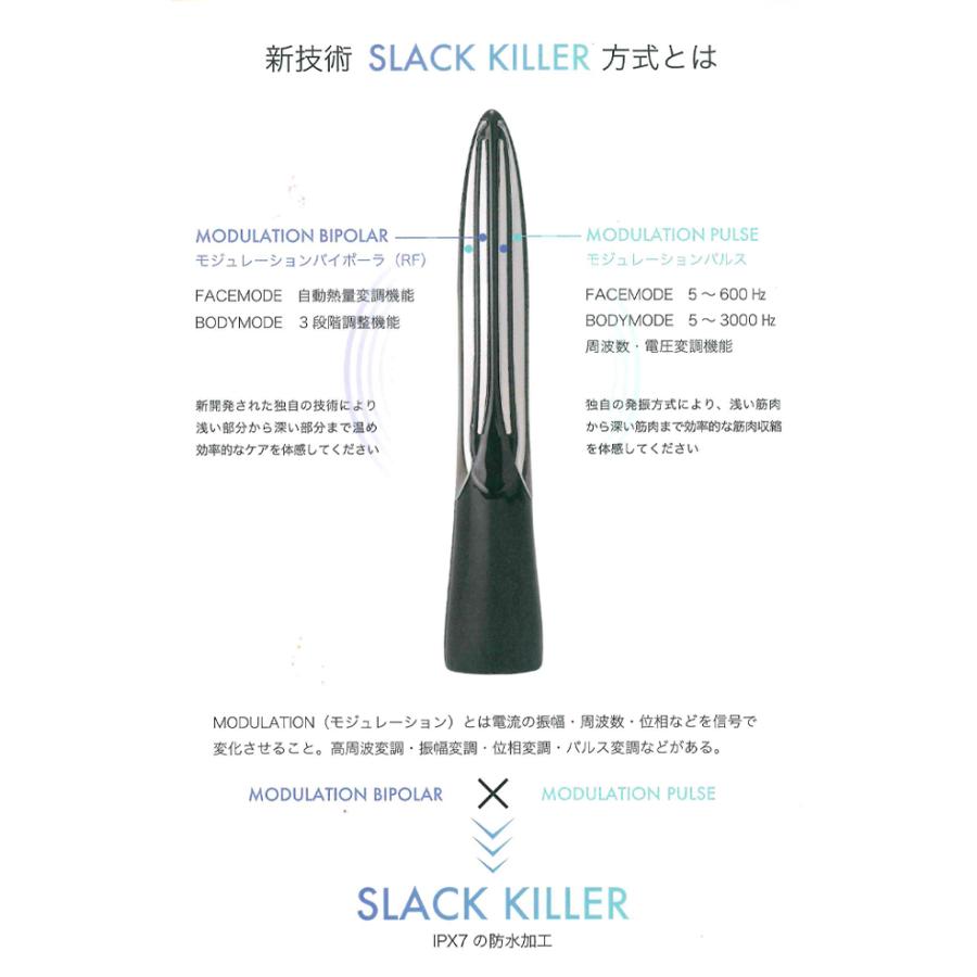 PYR KNIGHT パイラナイト 全身用美容機器 ラジオ波（RF）EMS 脂肪分解