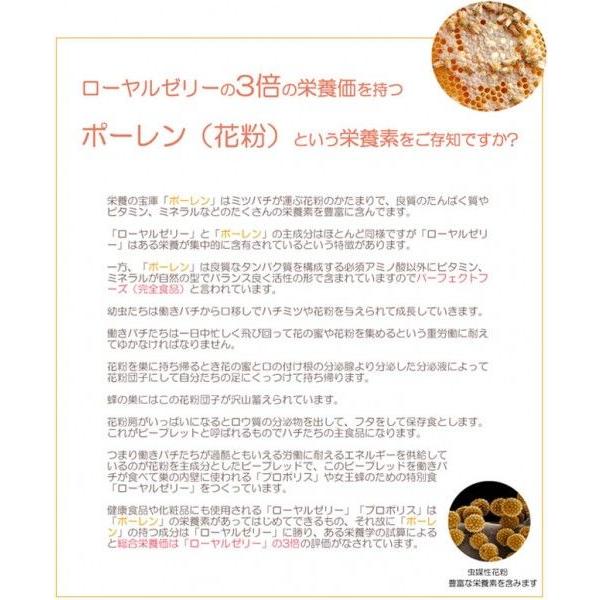 アミノ酸46 (1か月分) /ベルクール研究所 サロン専売品