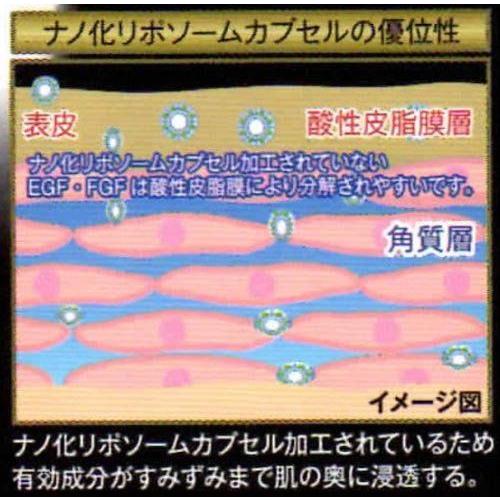 ReCell（リセル） ソリューション GF-01（20ml） : エイジングケア