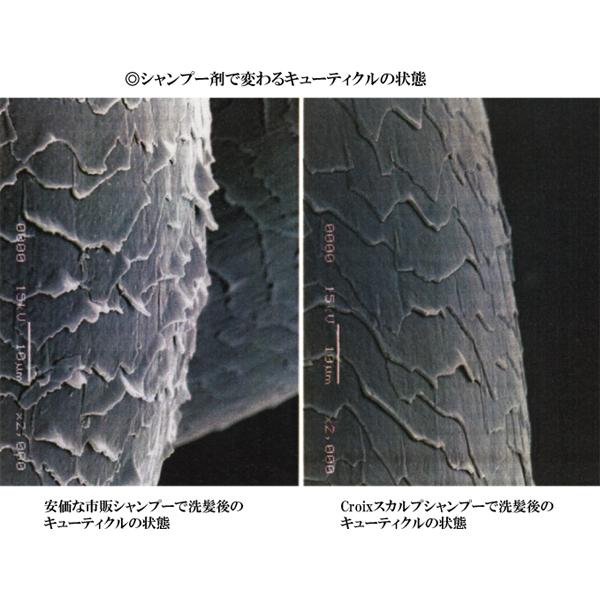 Croixスカルプシャンプー 250ml サロン専売品 スカルプケア 男性 抜毛予防 薄毛対策 女性 薄毛対策に ヘマチン 配合 育毛シャンプー ノンシリコンノンパラベン|cosme-croix|02