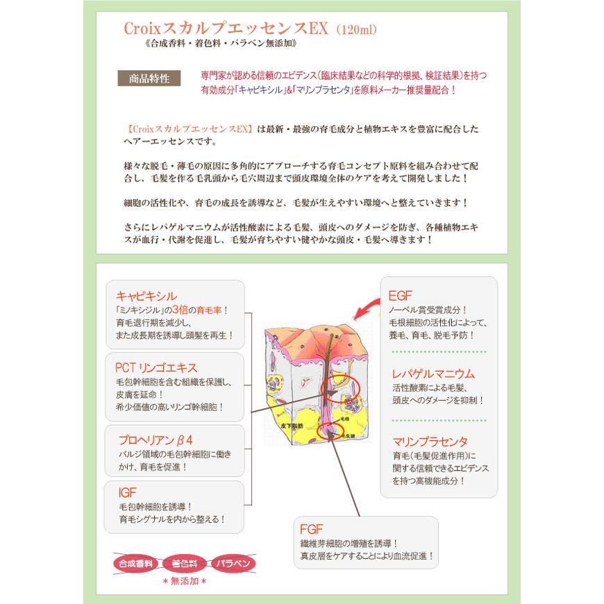 交換無料 Croixスカルプエッセンスｅｘ3ヶ月セット 話題のキャピキシル マリンプラセンタ Igf Fgf Egf等育毛成分配合育毛サロンの施術用スカルプセット 売れ筋 Zoetalentsolutions Com