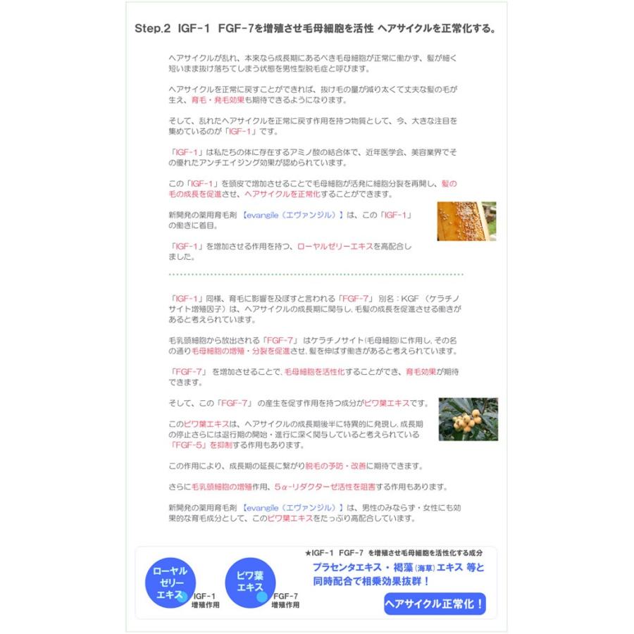 薬用育毛剤 エヴァンジル （evangile）100ml×2本セット： 送料無料 育毛サロン専売 医薬部外品 男性用育毛剤 女性用育毛剤 抜け毛 薄毛 発毛促進｜cosme-croix｜06