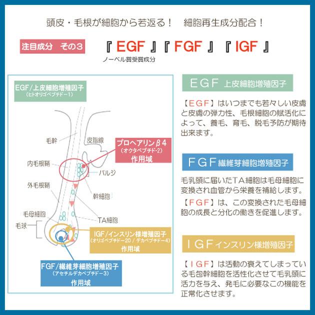 育毛剤 CroixスカルプエッセンスEXプラス120ml×2本 リデンシル キャピキシル配合 フィナステリド ミノキシジル プロペシア ロゲインの前に_5