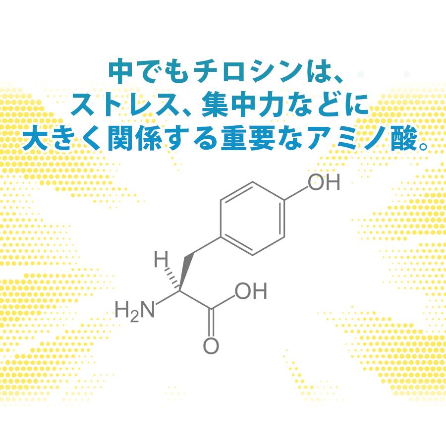 チロシン 1000 90粒 TYROSINE サプリ メール便送料無料/L-チロシン L-TYROSINE 1000mg サプリメント 国内製 ...