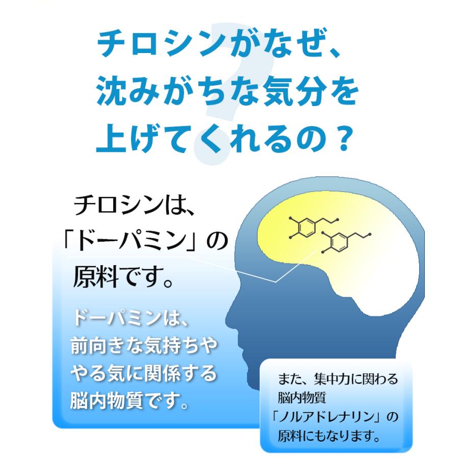 チロシン 1000 2ヵ月分（180粒） サプリ メール便送料無料/90粒入×2個セット L-チロシン L-TYROSINE 1000mg サプリメント 国内製 アミノ酸｜cosme-japan｜07