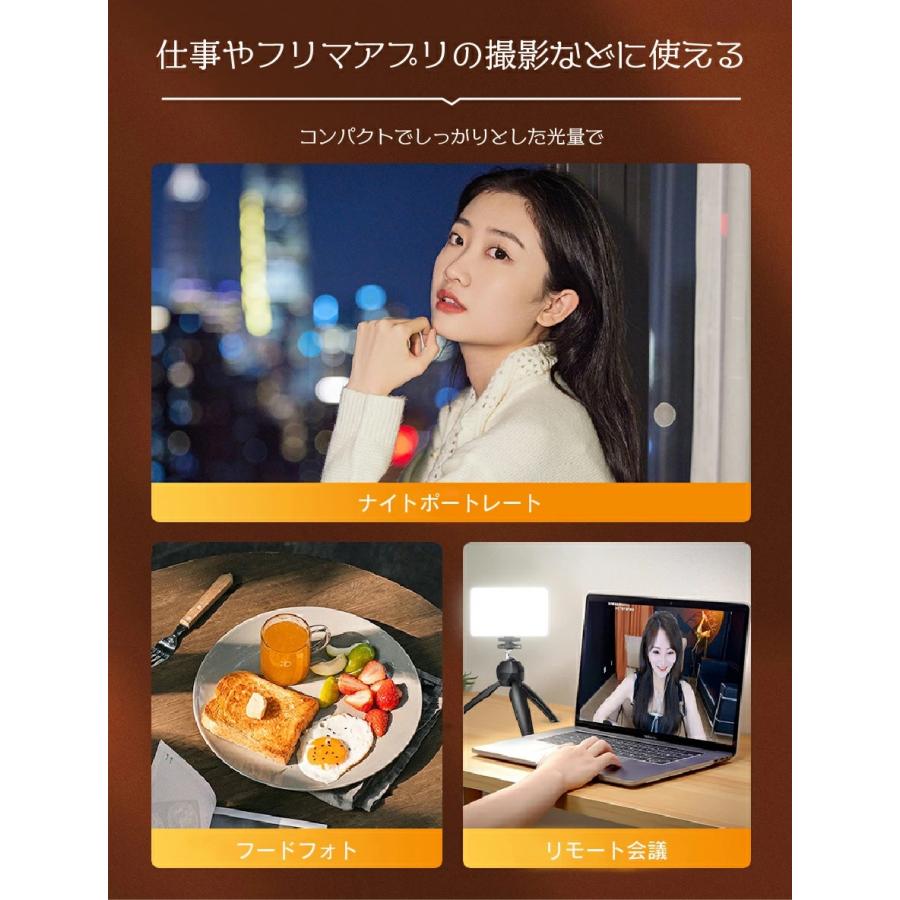コンパクトLEDライト 3点セット 超軽量130g 充電タイプ 撮影補助ライト 