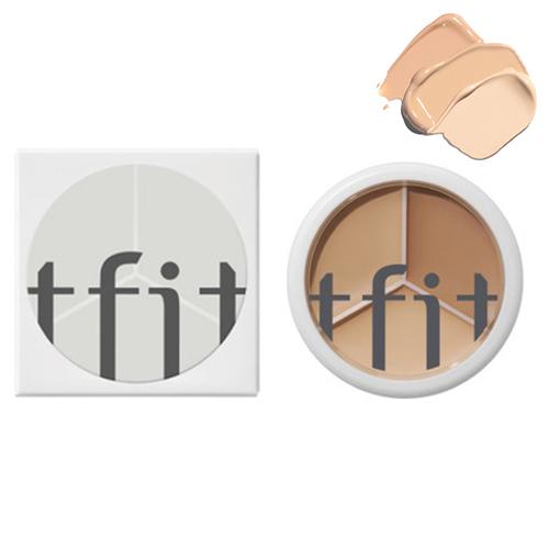 ときわ商会 tfit カバーアップ プロ コンシーラー 15g[0448] メール便