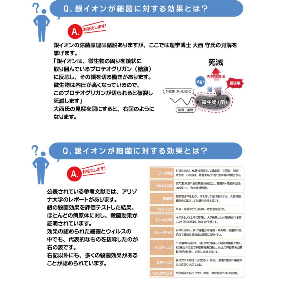 銀イオン水 イージョン eAg+ion 300ml×3個セット スプレーボトル ガントリガースプレー 高濃度6ppm 除菌 抗菌 消臭 電解水｜cosme-neworder｜09