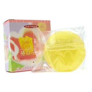 五島列島特産 椿の石鹸 つばき油 五島 石けん 赤ちゃん・幼児にも