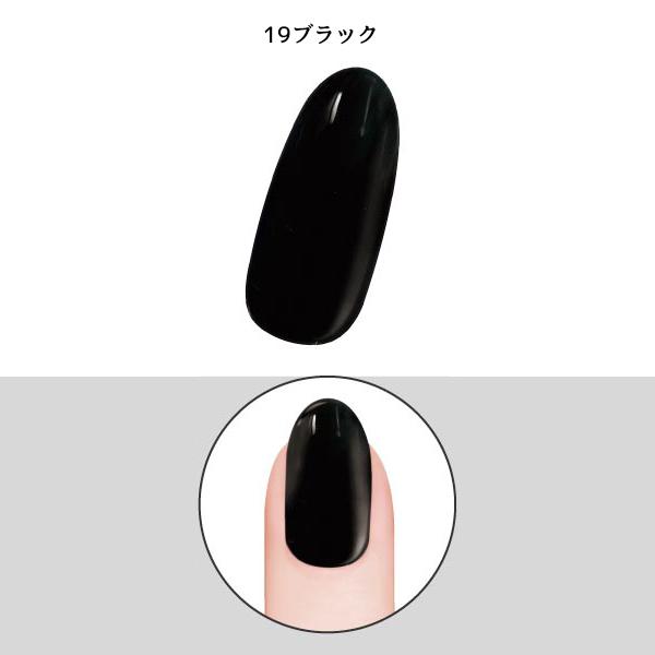 ビューティーワールド ポリジェリカ プレミアム カラージェル 3in1 BW