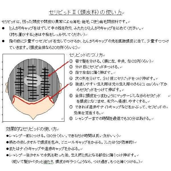 レストルセリピッド2 頭皮料・除菌 100ml 頭皮がかゆかったり匂う時にの画像