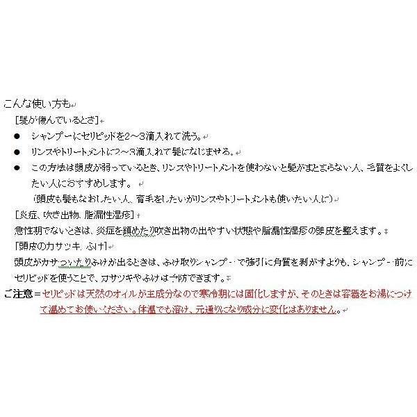 レストルセリピッド2 頭皮料・除菌 100ml 頭皮がかゆかったり匂う時にの画像