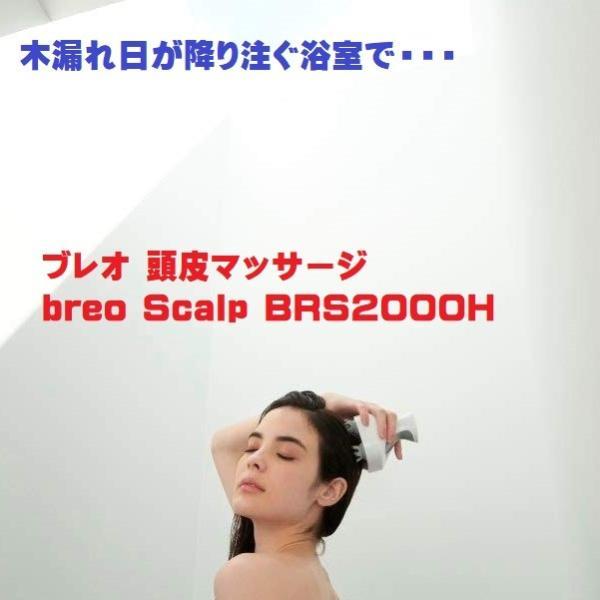 BREO(ブレオ) 頭皮マッサージ breo Scalp BRS2000H : あなたの髪お元気
