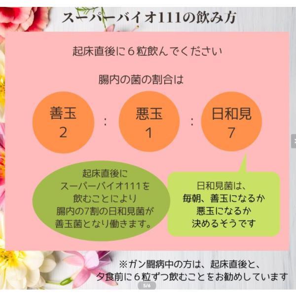 OUBI オウビ サプリメント スーパーバイオW-111 (1箱180粒)賞味期限 