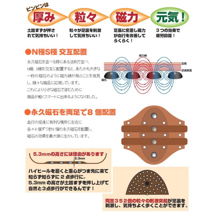 磁気健康足心サポーター ピンピン 1足2個入り 磁気足裏サポーター 足裏