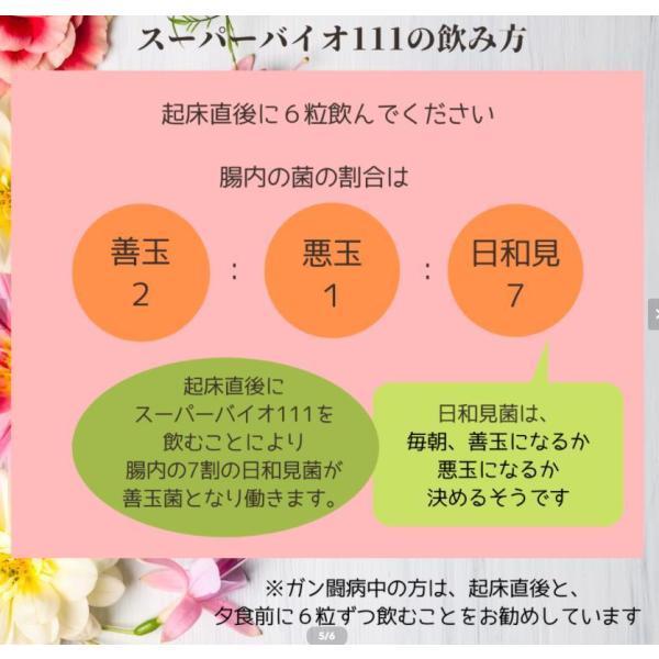 OUBI オウビ サプリメント スーパーバイオW-111 (1箱180粒)賞味期限 
